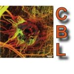 jobs in cyprus for cancer biophysics laboratory