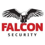 jobs in cyprus for falcon security