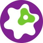 jobs in cyprus for insysbio