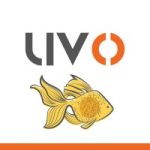 jobs in cyprus for uvocorp