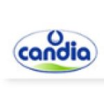 jobs in cyprus for candia polska sp. z o.o.
