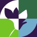 jobs in cyprus for life cyclamen