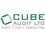 jobs in cyprus for cube audit limited
