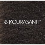 jobs in cyprus for kourasanit