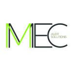 jobs in cyprus for mmec audit solutions
