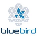 jobs in cyprus for bluebird - sap s/4 migration experts