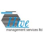 jobs in cyprus for hive management services limited
