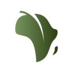 jobs in cyprus for new marine ltd