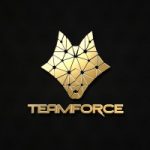 jobs in cyprus for teamforce crm